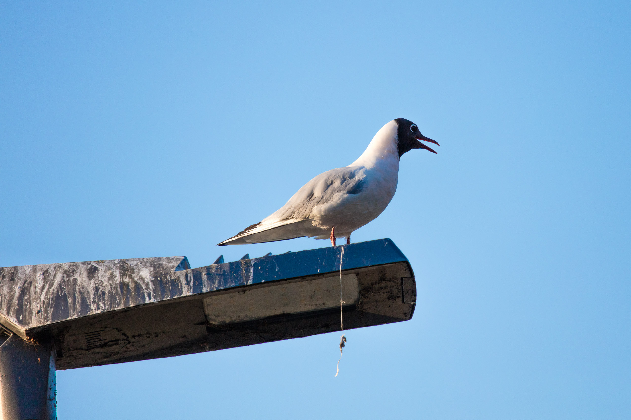 20160319174122 DP017846